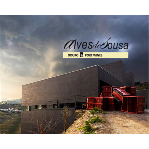 Visita à Adega + Prova de 3 Vinhos para Dois | Quinta da Gaivosa de Alves de So