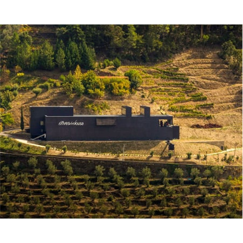 Visita à Adega + Prova de 3 Vinhos para Dois | Quinta da Gaivosa de Alves de So