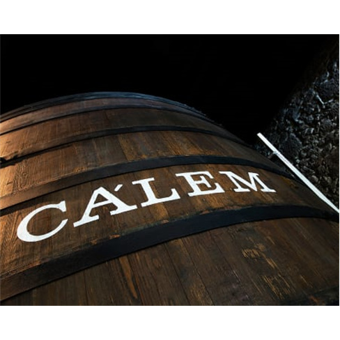 Visita às Caves Cálem com Prova de Vinho do Porto + Espectáculo de Fado ao Vi
