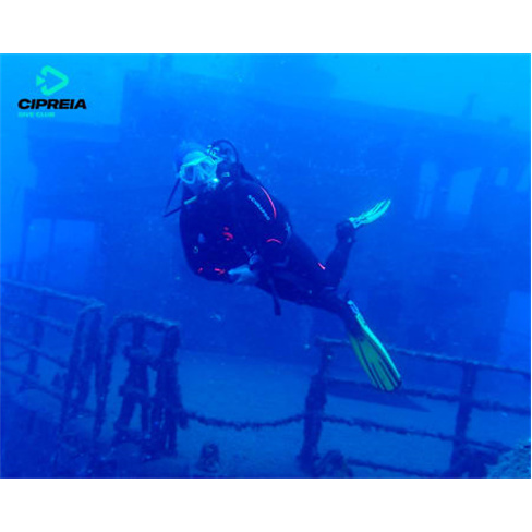 2 Saídas de Mergulho no Mar no Funchal ou Sesimbra | Para Mergulhadores Certifi