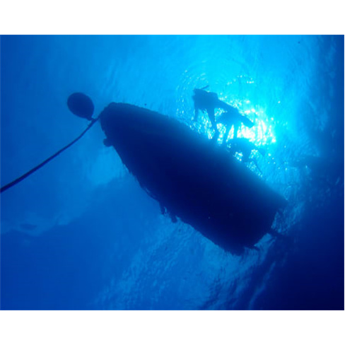 2 Saídas de Mergulho no Mar...s Certificados! Cipreia Experiência para 2 Pesso