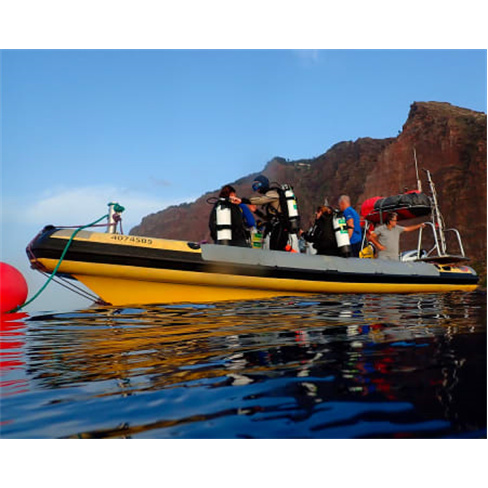 2 Saídas de Mergulho no Mar...s Certificados! Cipreia Experiência para 2 Pesso