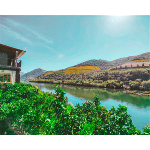Cruzeiro Rio Douro + Almoço em Restaurante Regional Adultonn(53 caracteres)