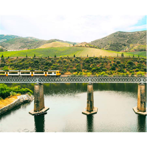 Cruzeiro Rio Douro + Almoço em Restaurante Regional Adultonn(53 caracteres)