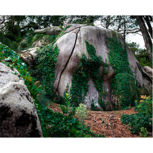 Escalada na Serra de Sintra: Adrenalina e Natureza! (40 caracteres)