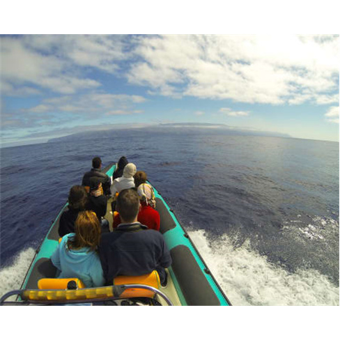 Passeio de Barco para Obser... Madeira | H2O Madeira - Calheta Bilhete de Adulto
