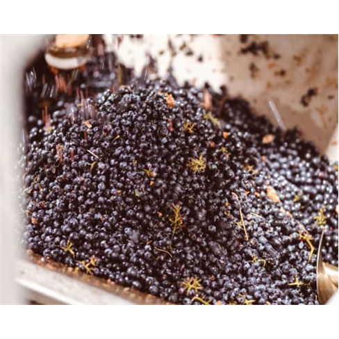 Visita à Adega + Prova de V... Wine - Estremoz Prova de Vinhos Premium e Reserv