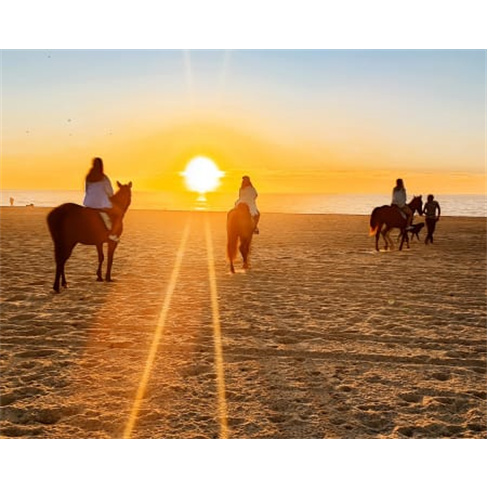 Passeio Romântico a Cavalo ...eio a Cavalo na Praia Privado + Sessão Fotográf