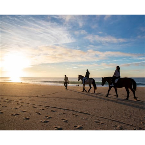 Passeio Romântico a Cavalo ...eio a Cavalo na Praia Privado + Sessão Fotográf