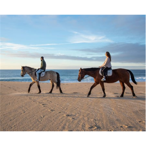Passeio Romântico a Cavalo ...eio a Cavalo na Praia Privado + Sessão Fotográf
