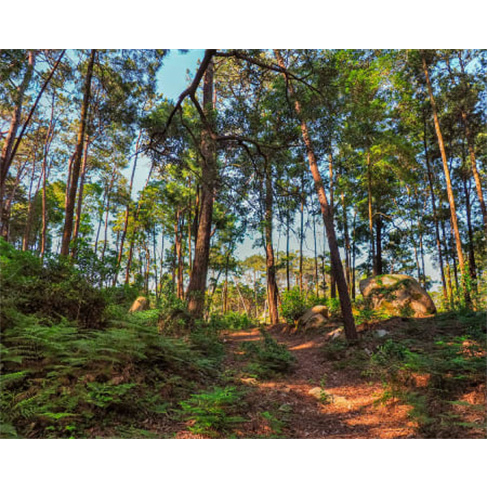 Escalada na Serra de Sintra: Adrenalina e Natureza! (40 caracteres)