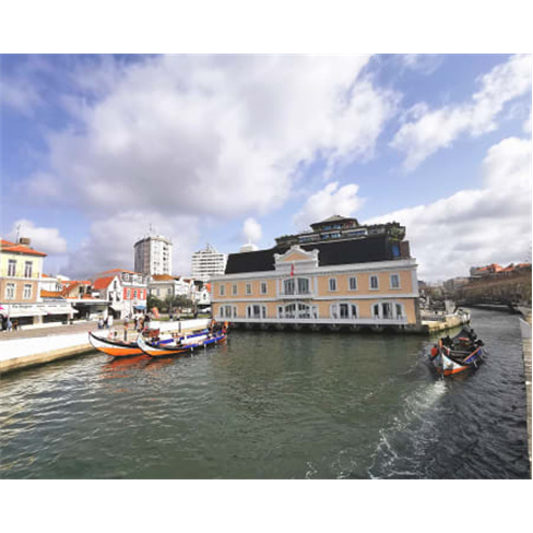 Passeio de Moliceiro na Ria...Veneza Portuguesa! Bilhete de Criança | Época Al