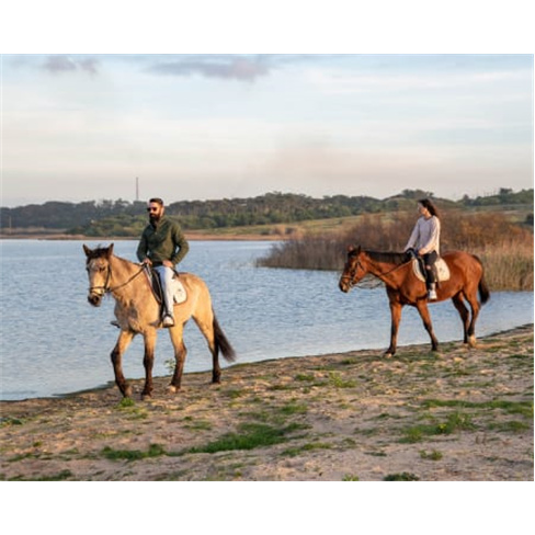 Passeio Romântico a Cavalo ...eio a Cavalo na Praia Privado + Sessão Fotográf