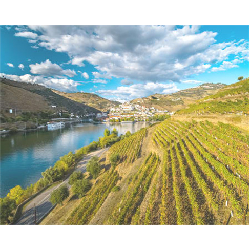 Cruzeiro Régua-Pinhão para Dois | 2h15 de Passeio no Douro Abril a Outubro | S