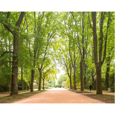 Visita à Fundação de Serralves com bilhete para o Museu de Arte Contemporâne