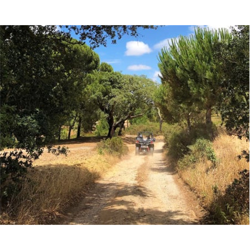 Buggy Tour na Comporta | Av...l! 1h45 | Feel Comporta Experiência para 4 Pessoa