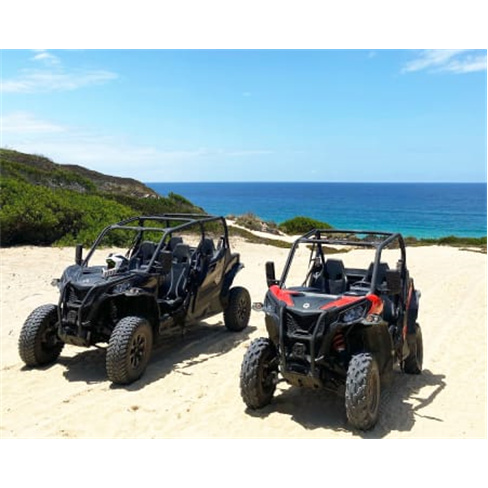 Buggy Tour na Comporta | Av...l! 1h45 | Feel Comporta Experiência para 4 Pessoa