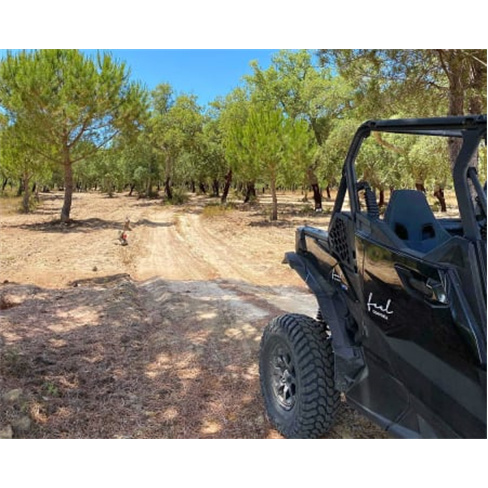 Buggy Tour na Comporta | Av...l! 1h45 | Feel Comporta Experiência para 4 Pessoa