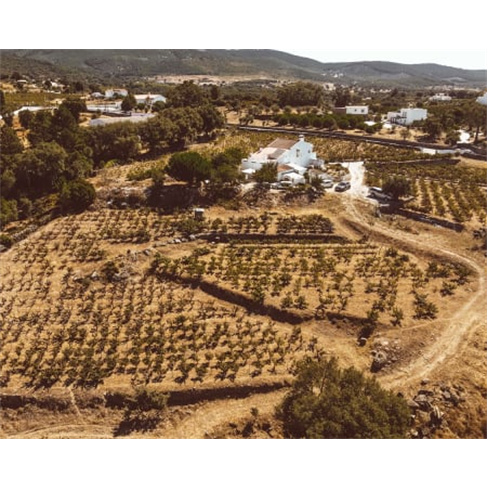 Visita à Adega + Prova de V... Wine - Estremoz Prova de Vinhos Premium e Reserv