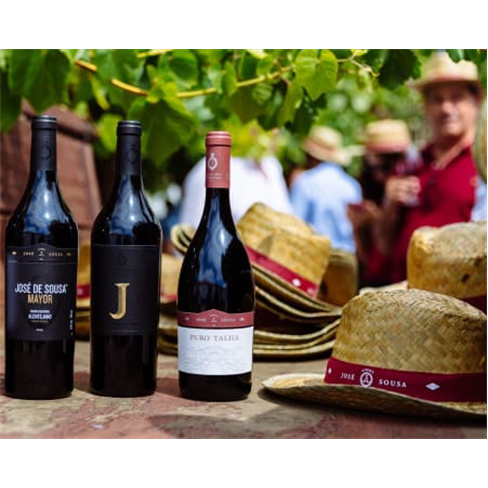 Visita Guiada às Adegas Moderna e Antiga + Prova de 3 Vinhos para Dois | Reguen