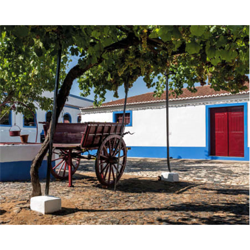 Visita Guiada às Adegas Moderna e Antiga + Prova de 3 Vinhos para Dois | Reguen