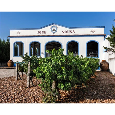 Visita Guiada às Adegas Moderna e Antiga + Prova de 3 Vinhos para Dois | Reguen