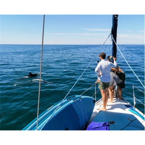 Aventura em Veleiro de Luxo no Algarve com Mergulho | 2h30 - Vilamoura Adulto
