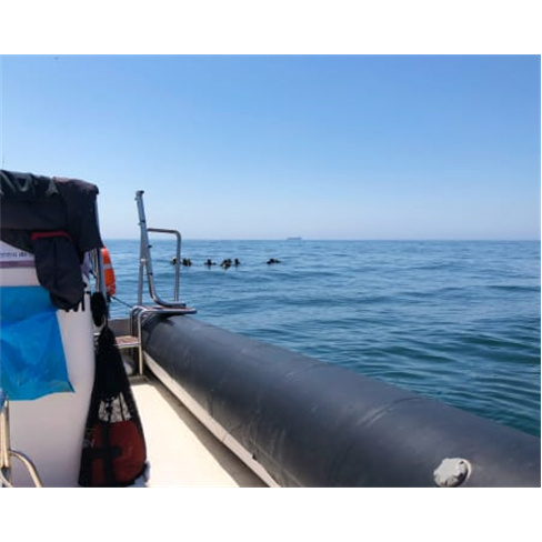Baptismo de Mergulho no Mar | CS Diving Center - Leça da Palmeira