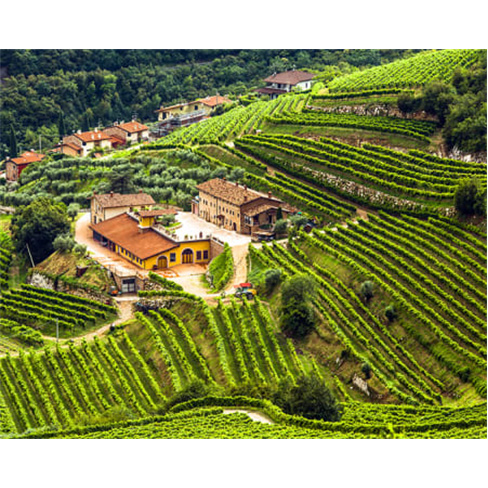 Caves & Adegas com Prova de Vinho do Porto | 30 Experiências à Escolha