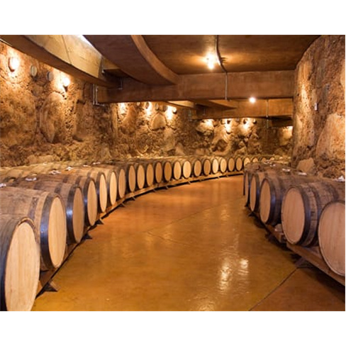 Caves & Adegas com Prova de Vinho do Porto | 30 Experiências à Escolha