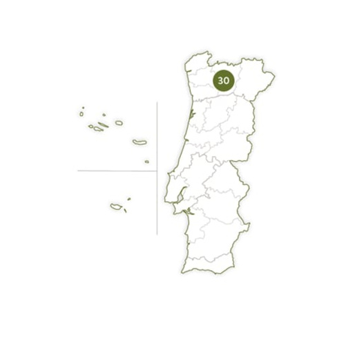 Caves & Adegas com Prova de Vinho do Porto | 30 Experiências à Escolha
