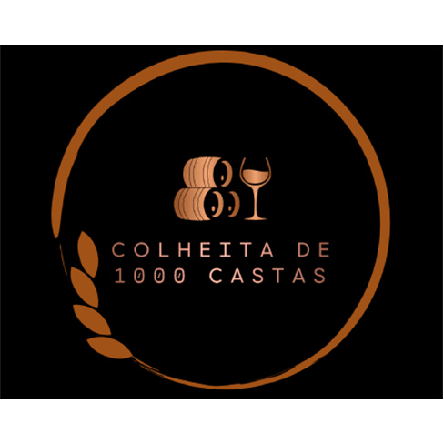 Prova de Vinhos para Dois |...intra Prova 5 Vinhos + Harmonização com Chocolat