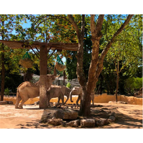 Jardim Zoológico | Descubra...al em Família! Entradas para 2 Adultos + 1 Crian
