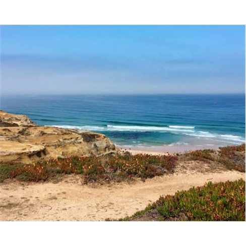 Aula de Surf em Grupo na Praia do Baleal | 2 Horas | Fred's Adventures - Penich