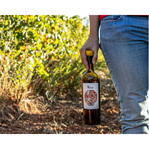 Visita à Adega com Prova de Vinhos de Talha e Passeio de Jipe às Vinhas para D