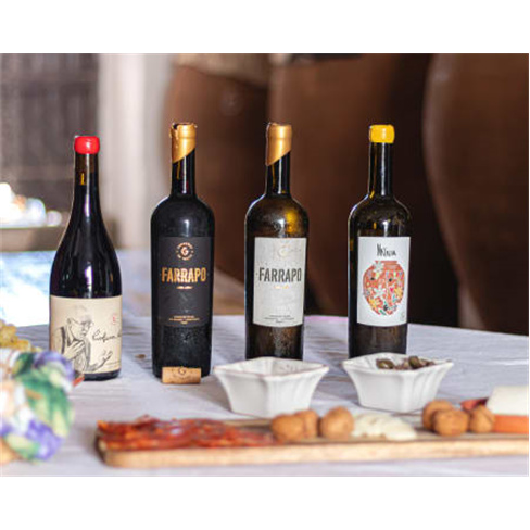 Visita à Adega com Prova de Vinhos de Talha e Passeio de Jipe às Vinhas para D