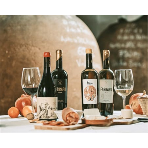 Visita à Adega com Prova de Vinhos de Talha e Passeio de Jipe às Vinhas para D
