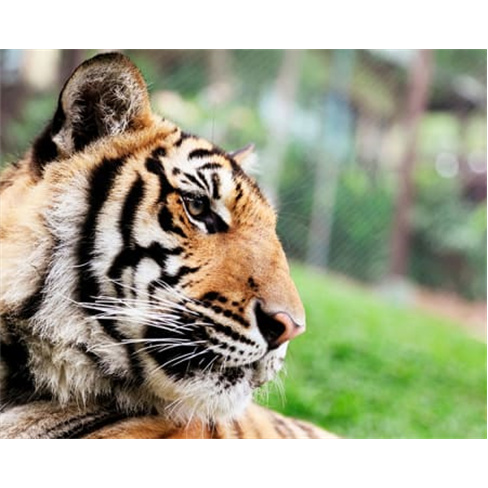 Jardim Zoológico | Entradas para 1 Adulto + 1 Criança
