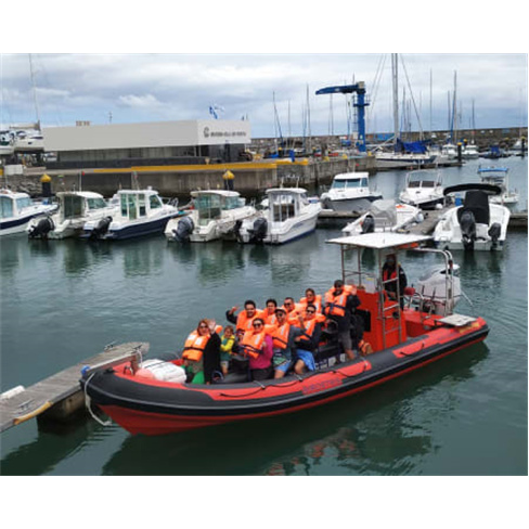 Passeio de Barco nos Açores - Descubra a Ilha de Santa Maria! 2h30 Bilhete de C