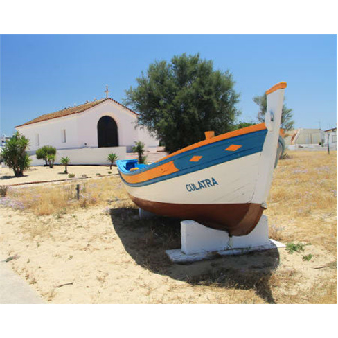 Passeio de Barco na Ria For...arco "Volta às Ilhas" | 4 Horas | Partida de Ol