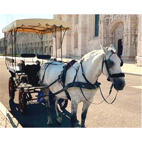 Passeio de Charrete na Zona...ca de Belém | QTour Experiência para Até 4 Pess