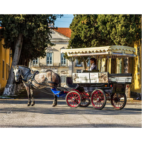 Passeio de Charrete na Zona Histórica de Belém | QTour Experiência para 2 Pes