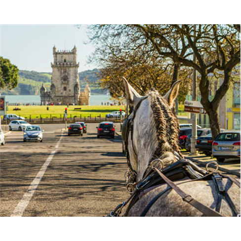 Passeio de Charrete na Zona...ca de Belém | QTour Experiência para Até 4 Pess