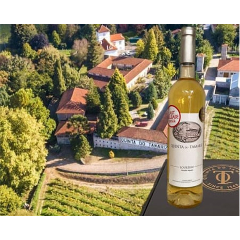 Visita e Prova de Vinhos | ...iz - Barcelos Programa Tamariz Bubbles | 2 Pessoas