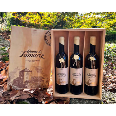 Visita e Prova de Vinhos | ...iz - Barcelos Programa Tamariz Bubbles | 2 Pessoas