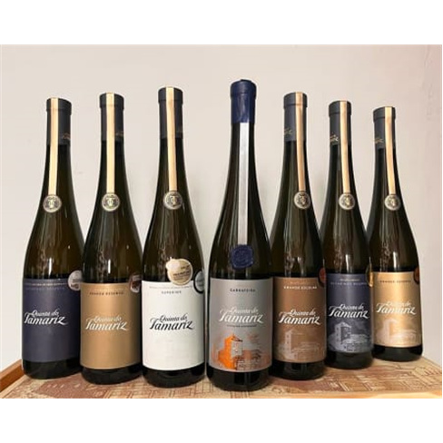 Visita e Prova de Vinhos | ...Barcelos Programa "À Volta das Castas" | 2 Pess