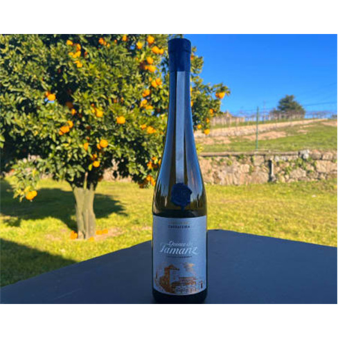 Visita e Prova de Vinhos | ...amariz - Barcelos Programa Vínico Base | 2 Pessoa