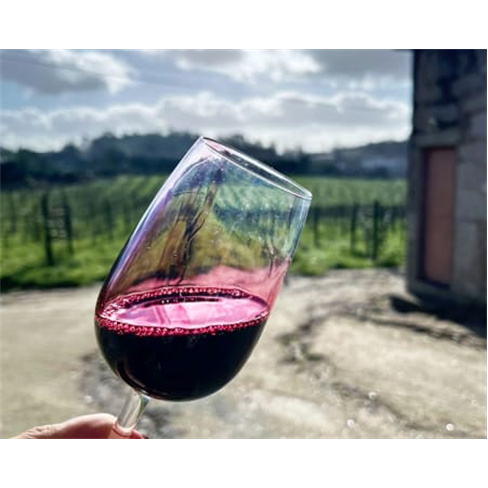 Visita e Prova de Vinhos | ...riz - Barcelos Programa Tamariz Bubbles | 1 Pessoa