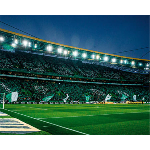 SCP | Visita ao Estádio e Museu + 2 Cachecóis