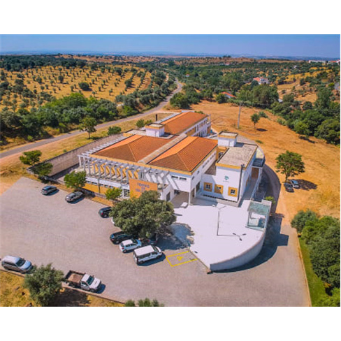 Termas de Sulfúrea - Cabeço de Vide | Hidromassagem + Piscina + Massagem Vidá